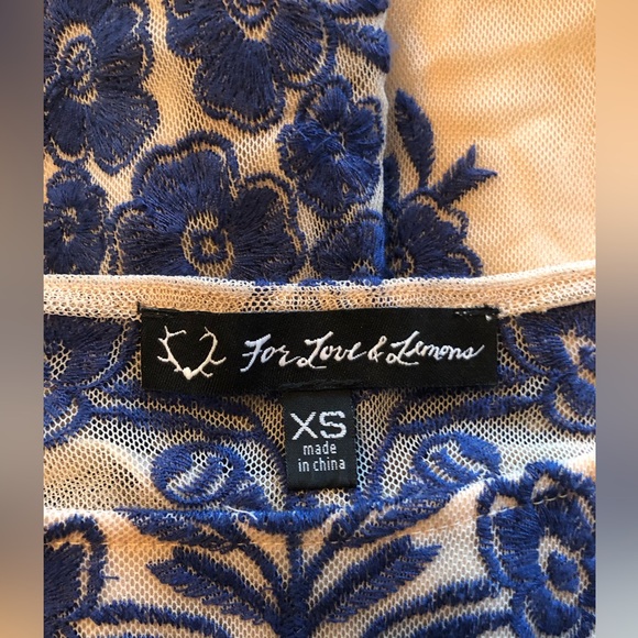 FOR LOVE AND LEMONS Temecula blue embroidered mini dress - Picture 7 of 9